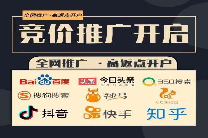 电商行业SEM运营的挑战与成功案例